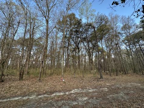 0 Cooke Road Johns Island SC 29455