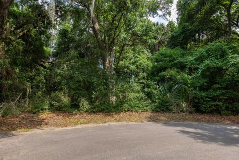 2124 Royal Pine Drive Seabrook Island SC 29455