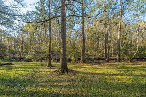 113 Hampton Drive Summerville SC 29485