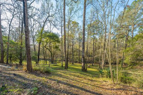 113 Hampton Drive Summerville SC 29485