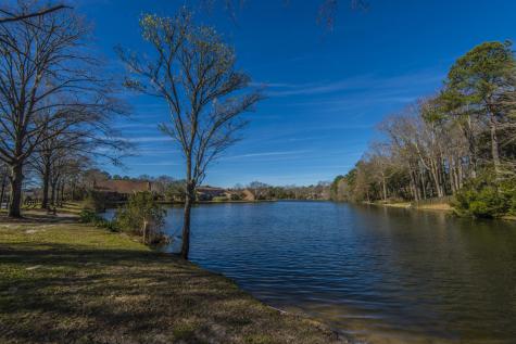 113 Hampton Drive Summerville SC 29485