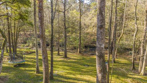 113 Hampton Drive Summerville SC 29485