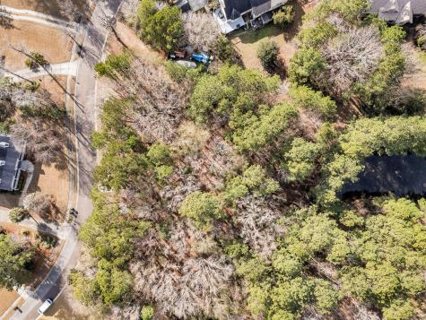 3786 Saint Ellens Drive Mount Pleasant SC 29466