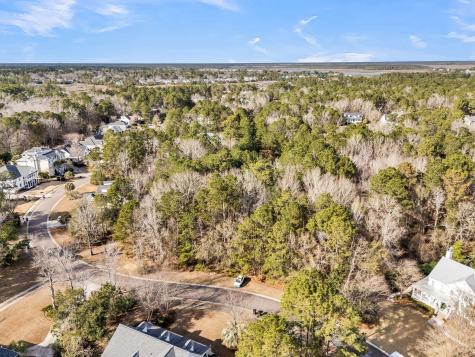 3786 Saint Ellens Drive Mount Pleasant SC 29466