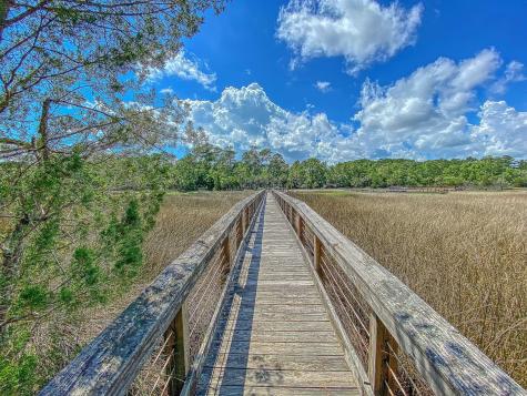 3786 Saint Ellens Drive Mount Pleasant SC 29466