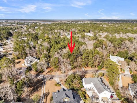 3786 Saint Ellens Drive Mount Pleasant SC 29466