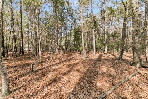 3786 Saint Ellens Drive Mount Pleasant SC 29466