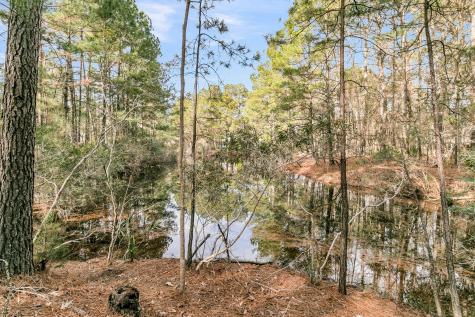 3786 Saint Ellens Drive Mount Pleasant SC 29466