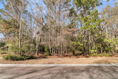 3786 Saint Ellens Drive Mount Pleasant SC 29466