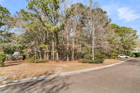 3786 Saint Ellens Drive Mount Pleasant SC 29466