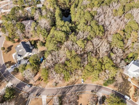 3786 Saint Ellens Drive Mount Pleasant SC 29466