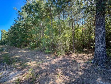 1 Hard Pinch Road Moncks Corner SC 29461