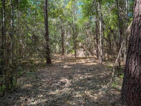 1 Hard Pinch Road Moncks Corner SC 29461