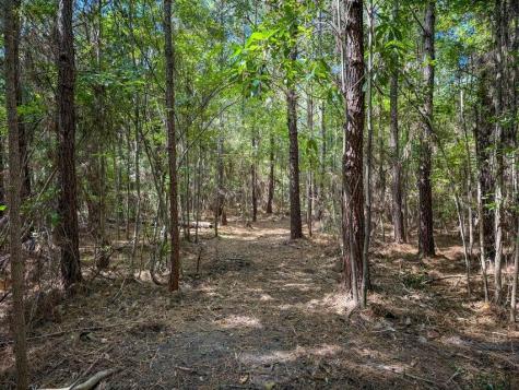 1 Hard Pinch Road Moncks Corner SC 29461