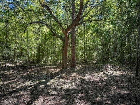 1 Hard Pinch Road Moncks Corner SC 29461