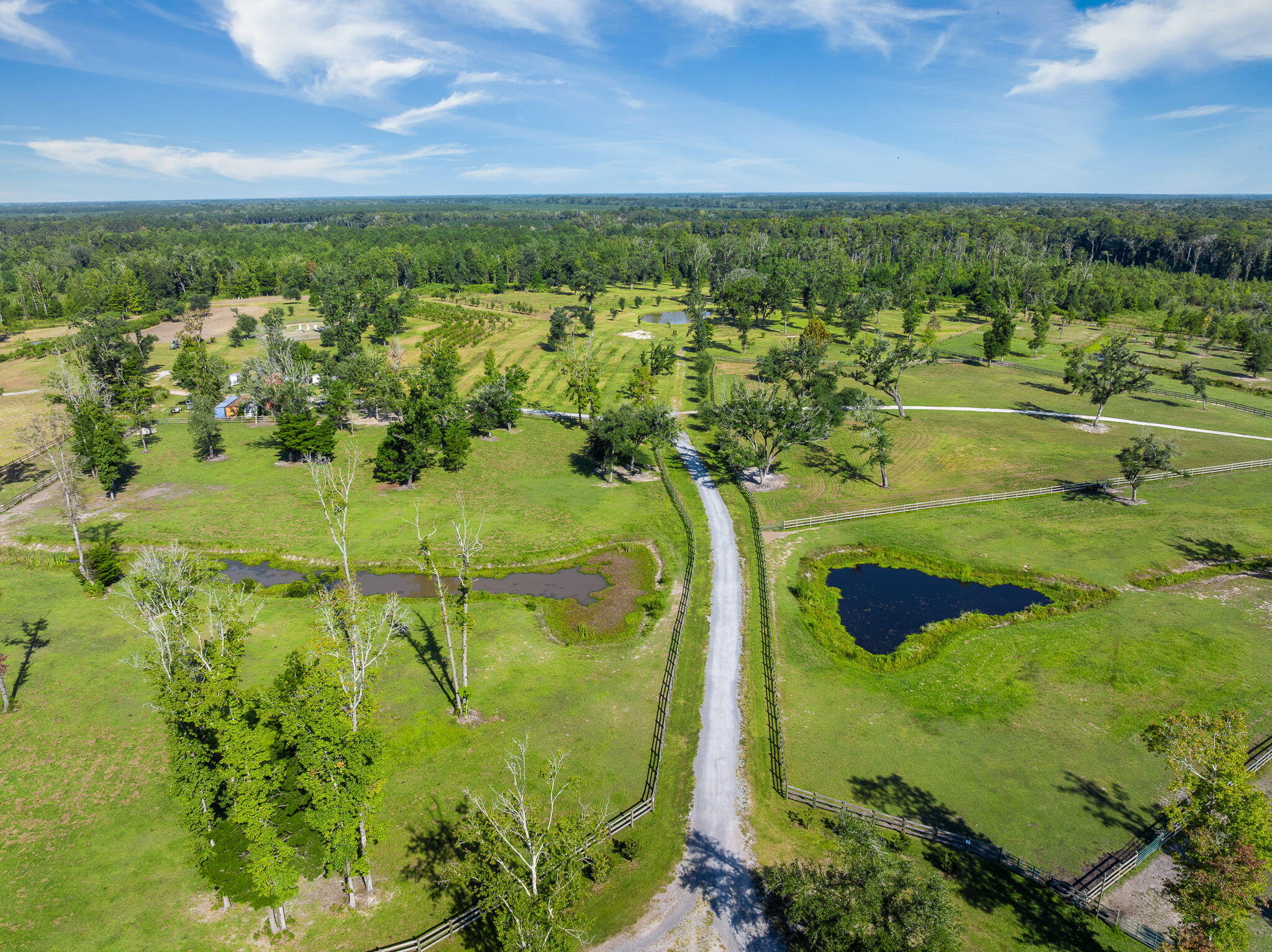 8275 Highway 165 Ravenel SC 29470