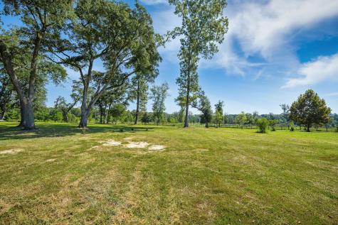 8275 Highway 165 Ravenel SC 29470
