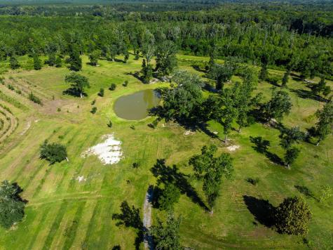 8275 Highway 165 Ravenel SC 29470