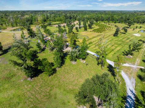 8275 Highway 165 Ravenel SC 29470