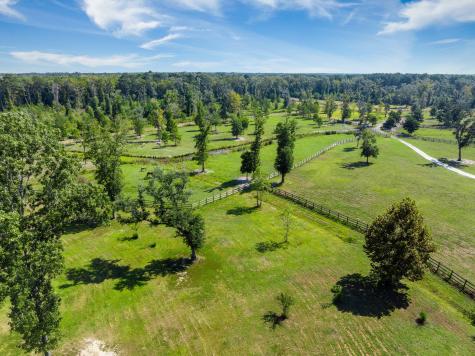 8275 Highway 165 Ravenel SC 29470