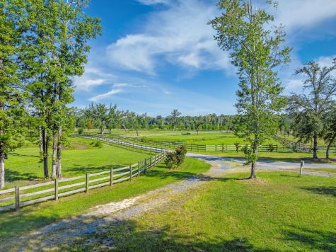 8275 Highway 165 Ravenel SC 29470