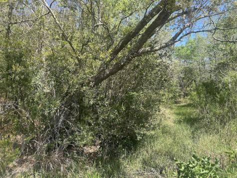 2492 Boy Scout Road Wadmalaw Island SC 29487