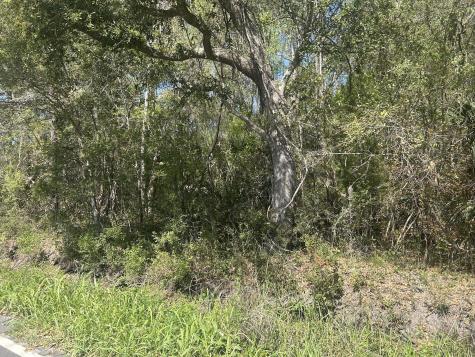 2492 Boy Scout Road Wadmalaw Island SC 29487