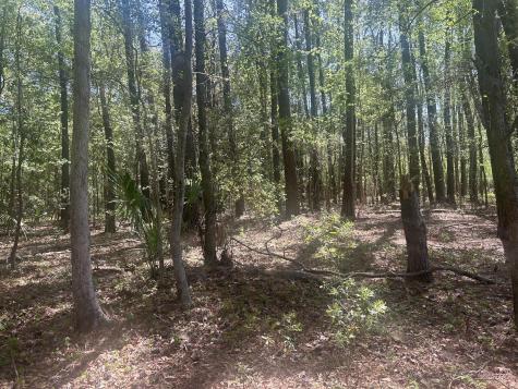 2492 Boy Scout Road Wadmalaw Island SC 29487