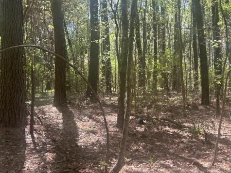 2492 Boy Scout Road Wadmalaw Island SC 29487
