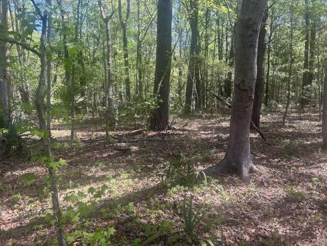 2492 Boy Scout Road Wadmalaw Island SC 29487