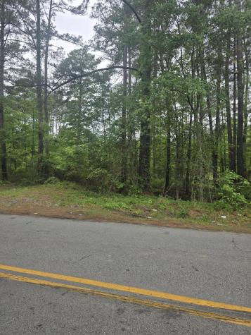 0 Pete Ewers Drive Summerville SC 29483