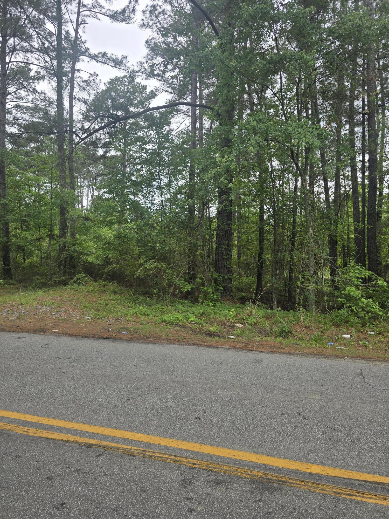 0 Pete Ewers Drive Summerville SC 29483