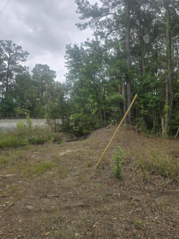 0 Pete Ewers Drive Summerville SC 29483