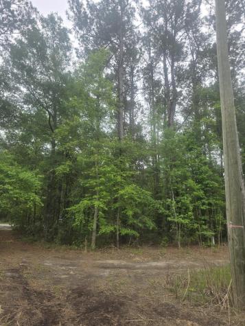 0 Pete Ewers Drive Summerville SC 29483