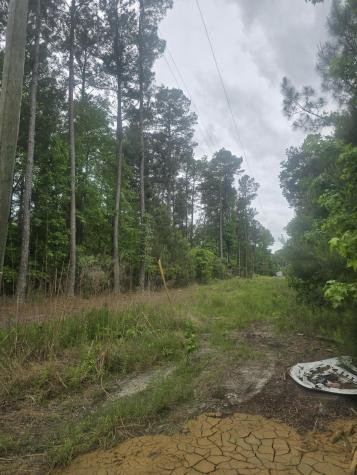 0 Pete Ewers Drive Summerville SC 29483