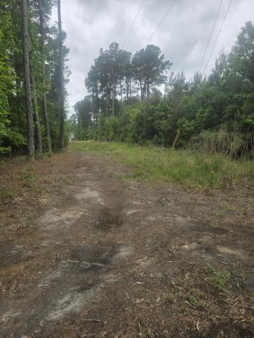 0 Pete Ewers Drive Summerville SC 29483