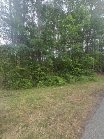 0 Pete Ewers Drive Summerville SC 29483