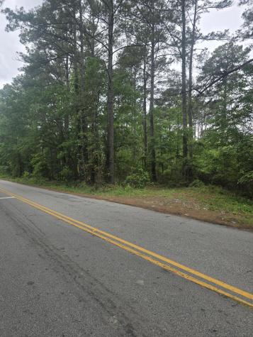 0 Pete Ewers Drive Summerville SC 29483