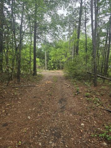 0 Pete Ewers Drive Summerville SC 29483