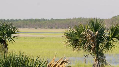 1109 Ship Builder Street Charleston SC 29492