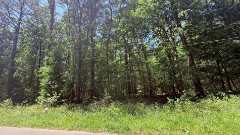 00 Weir Street Summerville SC 29483