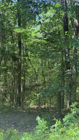 00 Weir Street Summerville SC 29483