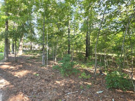 620 Plantation Drive Santee SC 29142