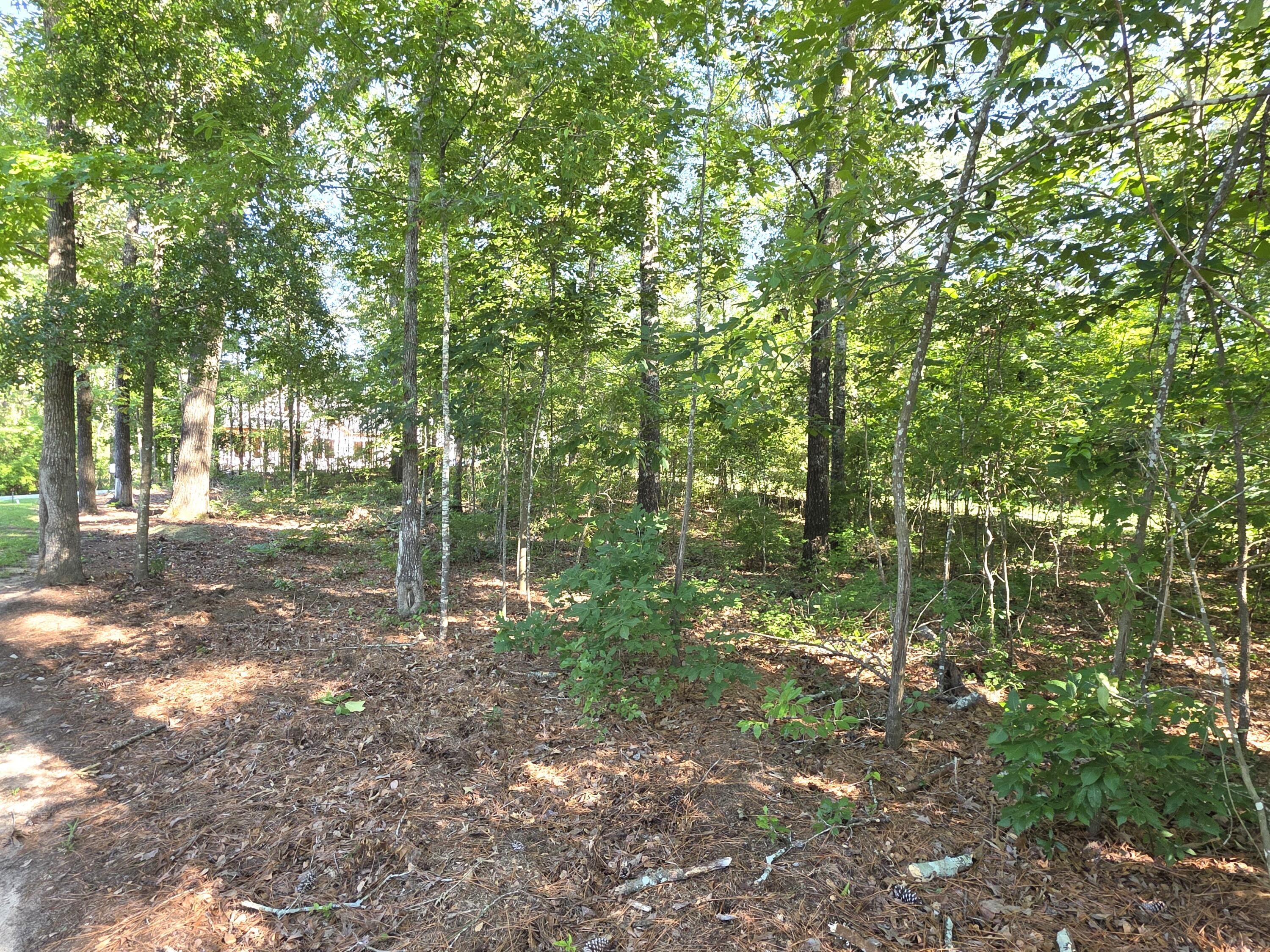 620 Plantation Drive Santee SC 29142