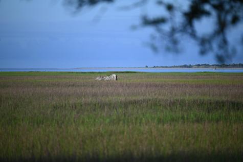 0 Cole Folly Beach SC 29439