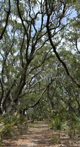 0 Cole Folly Beach SC 29439
