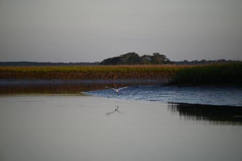 0 Cole Folly Beach SC 29439