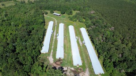 0 Holladay Road Manning SC 29102