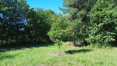 0 Holladay Road Manning SC 29102