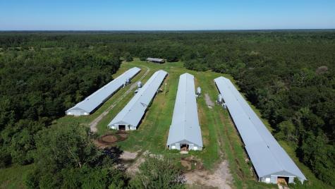0 Holladay Road Manning SC 29102